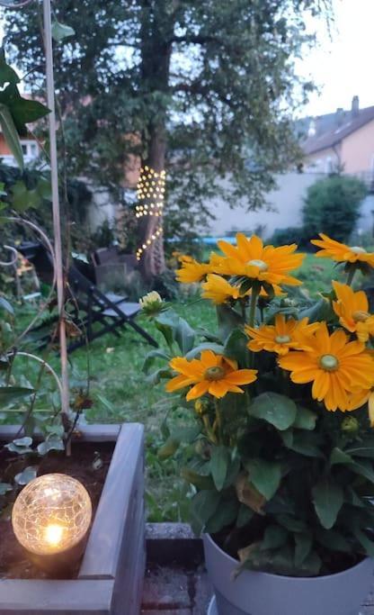 Stilvoll Und Gemuetlich - Wohnen Mit Flair Apartamento Albstadt Exterior foto